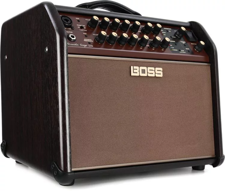 Good on sale acoustic amps