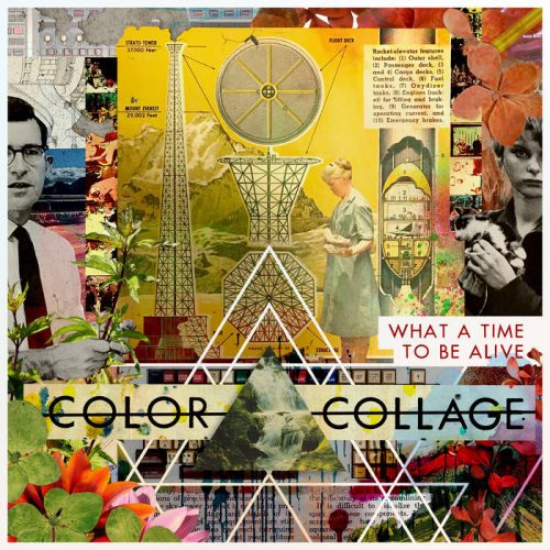color_collage_what_a_time_to_be_alive